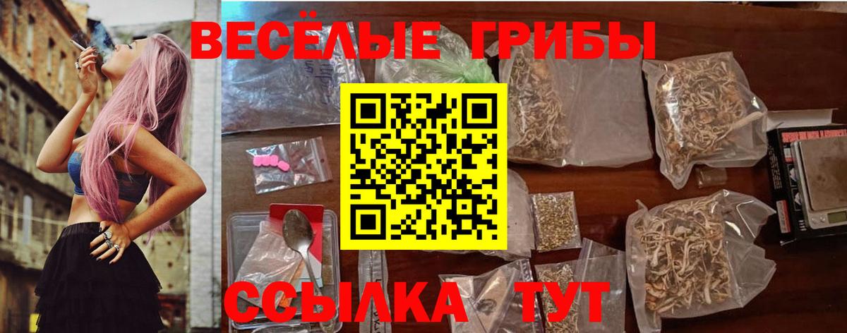 Псилоцибиновые грибы Psilocybe Пыть-Ях