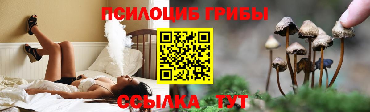 Пыть-Ях  Псилоцибиновые грибы прущие грибы  Галлюциногенные грибы Magic Shrooms  Вход с VPN 